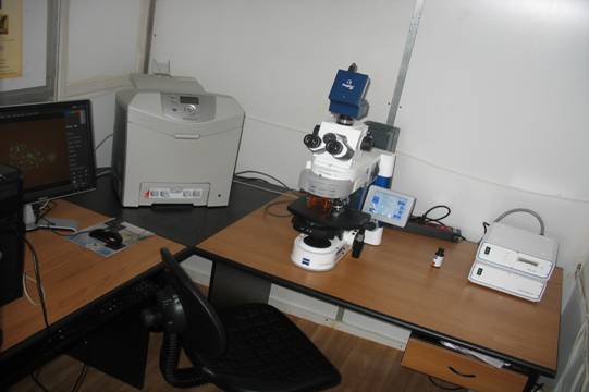 Microscop pentru tehnicile FISH şi GISH- Carl Zeiss: pentru evidenţierea, &icirc;n genomul unor specii, de fragmente cromozomale/ cromozomi proveniţi din genomul altor specii (sălbatice), prin hibridizare in situ.