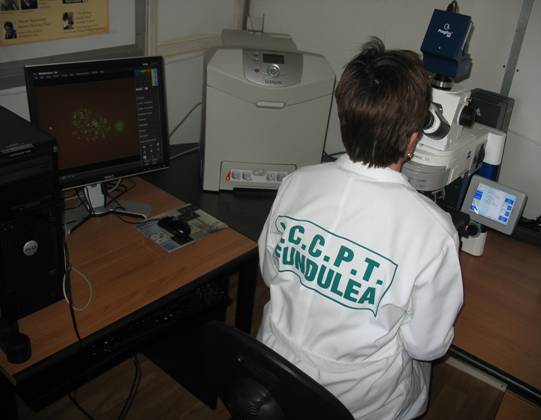 Microscop pentru tehnicile FISH şi GISH- Carl Zeiss: pentru evidenţierea, &icirc;n genomul unor specii, de fragmente cromozomale/ cromozomi proveniţi din genomul altor specii (sălbatice), prin hibridizare in situ.